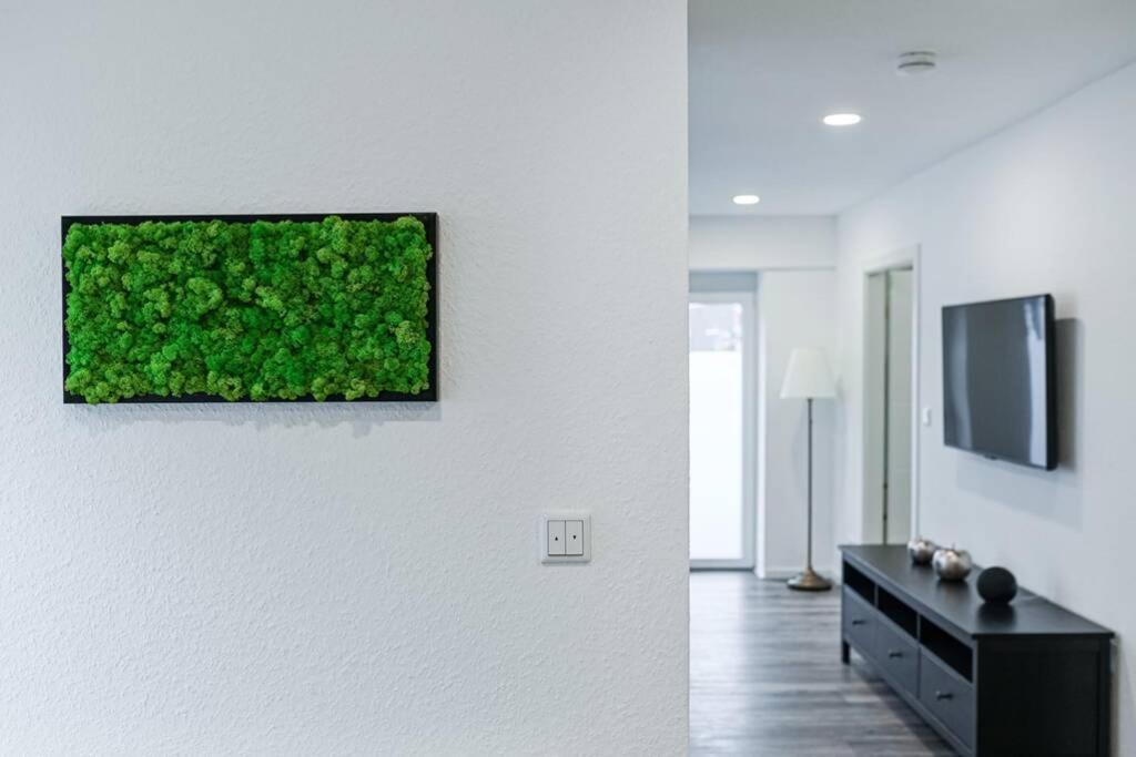 Ferienhaus Kopf In Bad Buchau Extérieur photo
